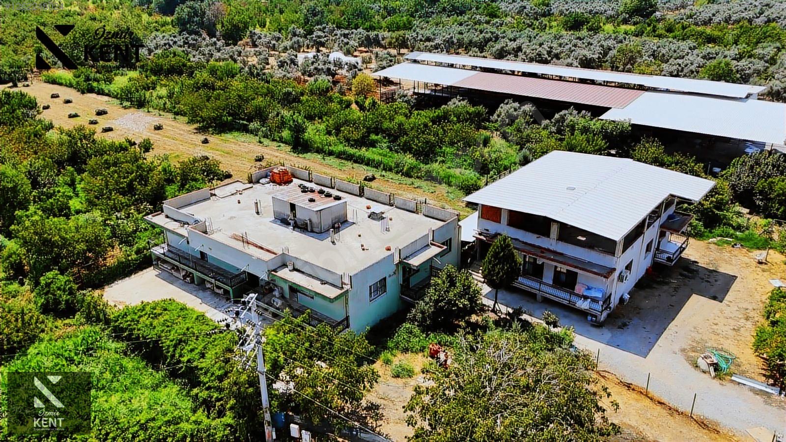 Fotoğraf